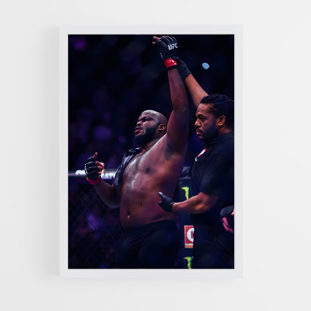 Poster The Undertaker's Fury – affiche MMA (vue 3)